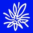 AMP logo