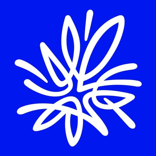 AMP logo